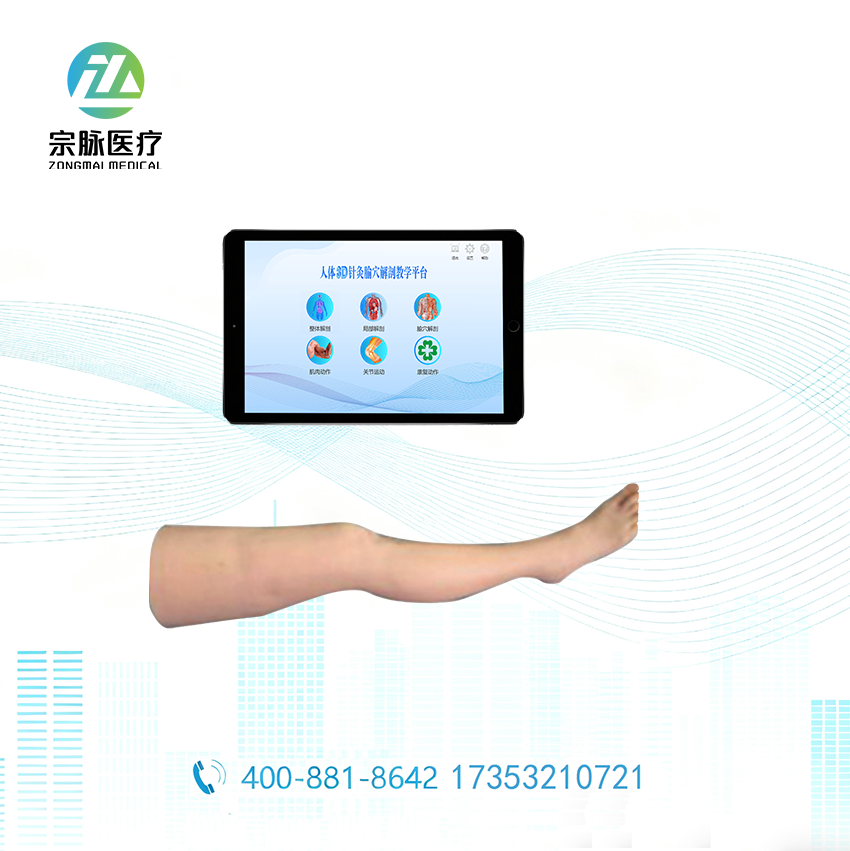 交互式腿部针灸多媒体教学系统_智能下肢穴位训练模型_足三里三阴交针刺考核_重庆宗脉医疗